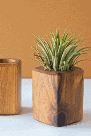 Deviens ce que tu es ! Art And Soil Bangalore W4ZUFRJIWHw Unsplash 1