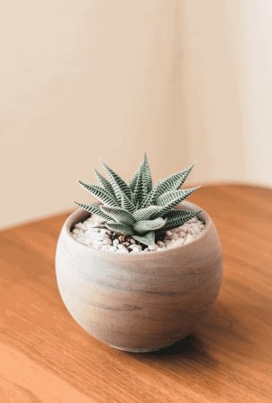 Deviens ce que tu es ! Henry Co FObU8l6PyLA Unsplash